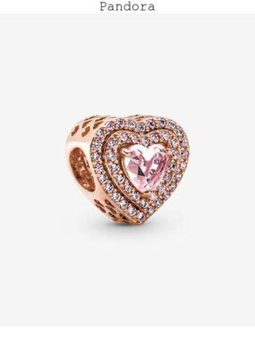 Pandora New Bracelet Charms